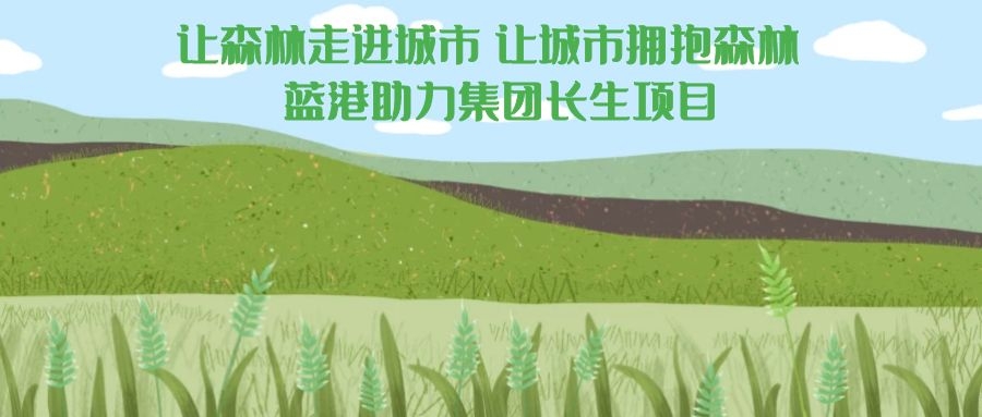 让森林走进城市 让城市拥.jpg